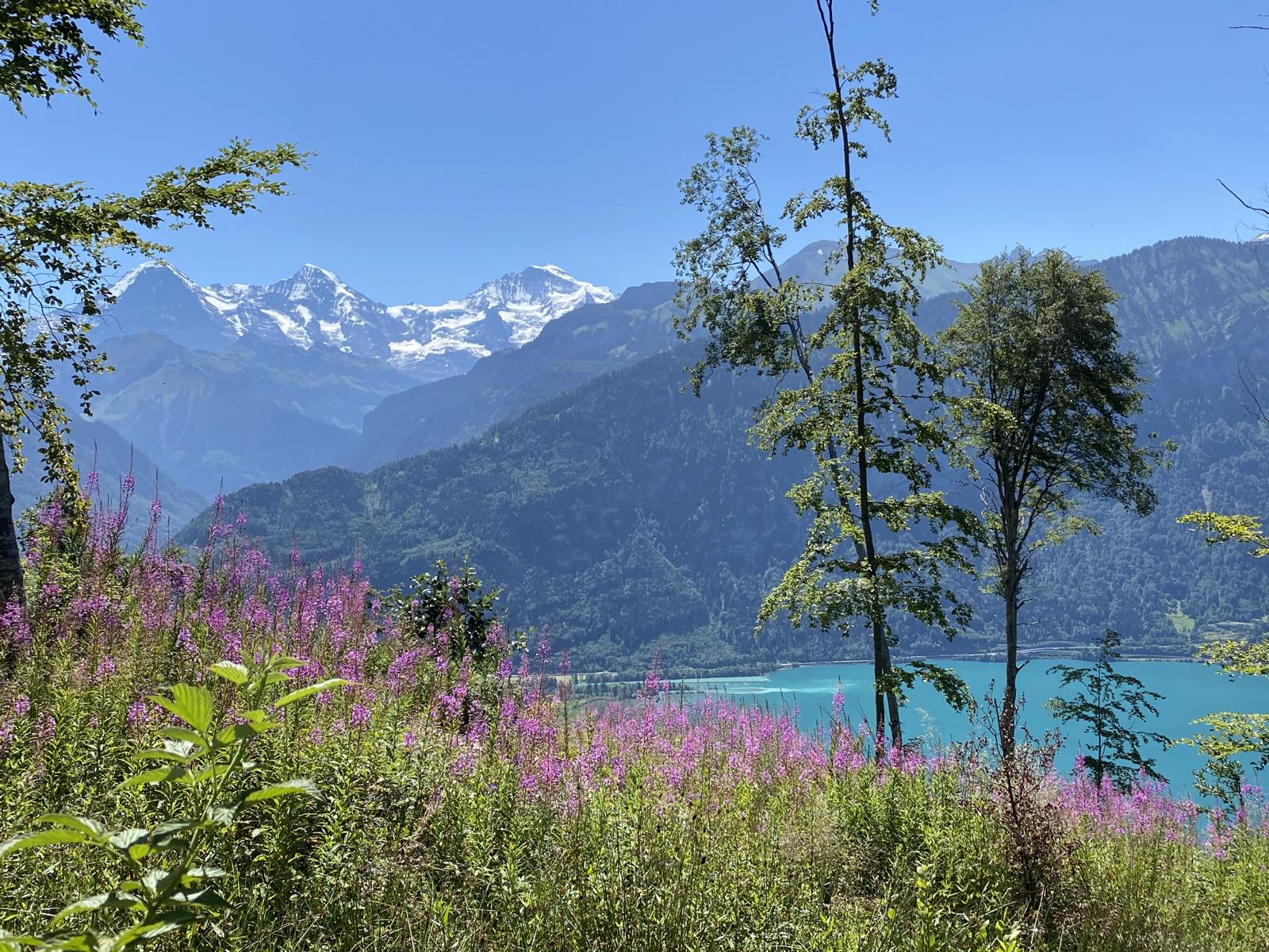 Alpensee — Oase der Ewigkeit